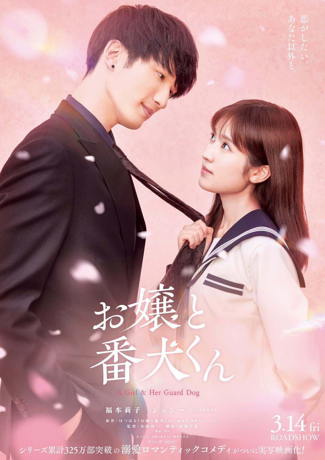 漫改真人实写电影『大小姐与看门犬』发布最新预告！