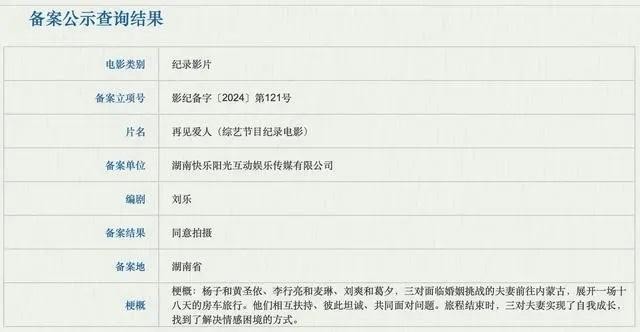 《再见爱人》要拍成纪录电影 观众为什么不买账？