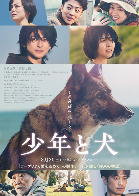高桥文哉、西野七濑主演电影《少年与狗》发布新预告