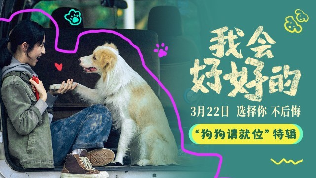 电影《我会好好的》主演小狗塔塔工作花絮大揭秘