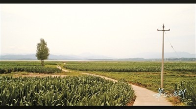 blog-image
