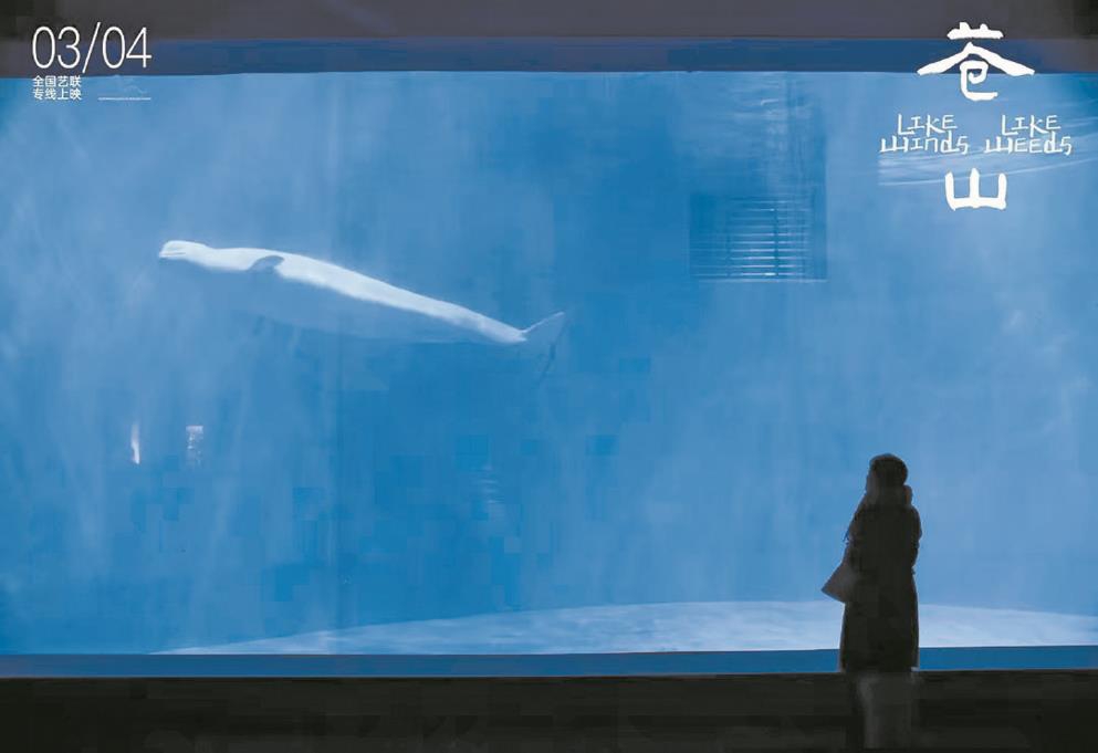 《苍山》：故乡的味道从未消散