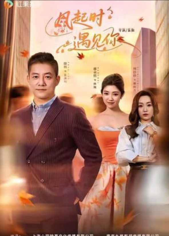 风起时遇见你