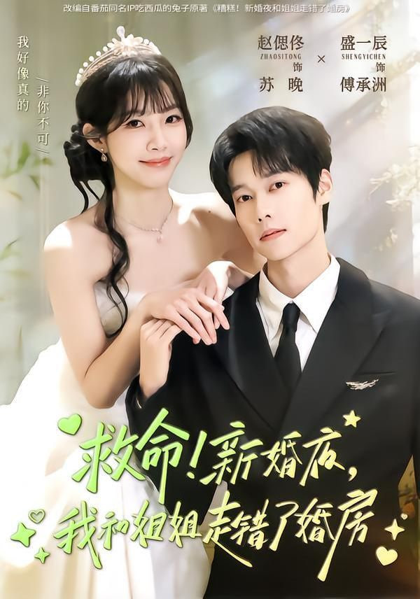 救命！新婚夜，我和姐姐走错了婚房
